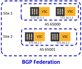 BGP Federation across 4 VSC's in 2 Sites