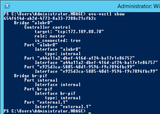 ovs-vsctl output