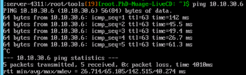 VM ping command output