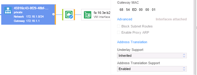 Configuration of SNAT for using Underlay